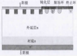 圖6 外延MPS二極管結(jié)構(gòu)示意圖