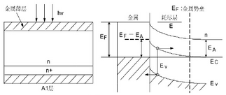 圖2 肖特基勢(shì)壘光電探測(cè)器