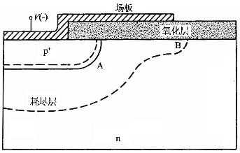 圖1 場(chǎng)板基本結(jié)構(gòu)示意圖