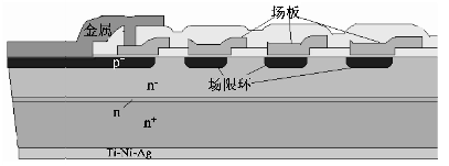 圖4 FRED終端結(jié)構(gòu)截面示意圖