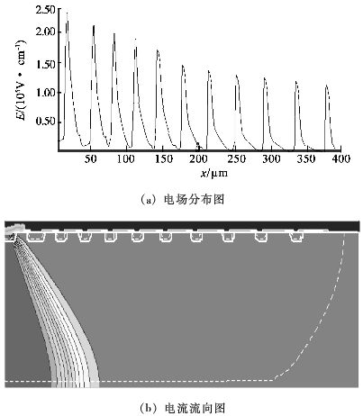 圖5 擊穿時(shí)的電場(chǎng)分布圖和電流流向圖