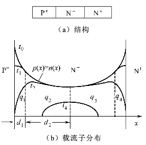 圖1  快恢復二極管的結構和載流子分布示意圖