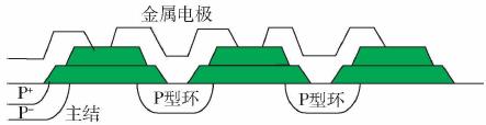 部分場環(huán)場板結(jié)構(gòu)示意圖